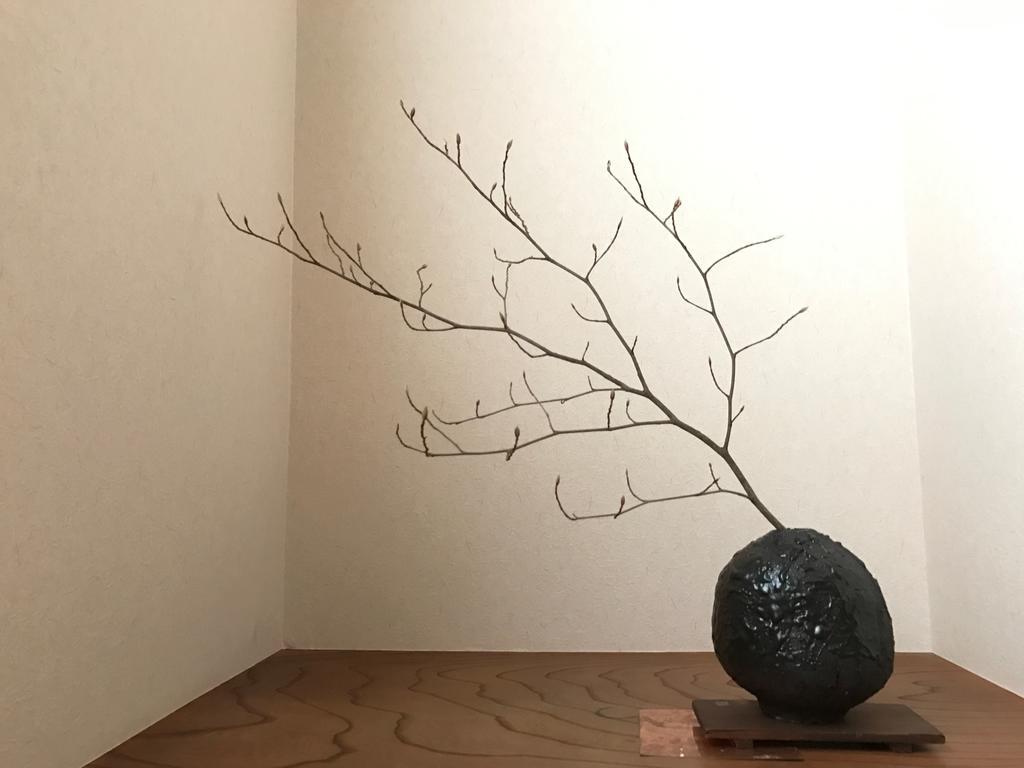 فندق Sayama Aesthetics School Osakasayama المظهر الخارجي الصورة